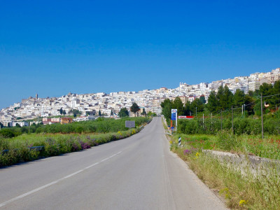 Itinerari - Minervino Murge - Strada dei Vini DOC Castel del Monte