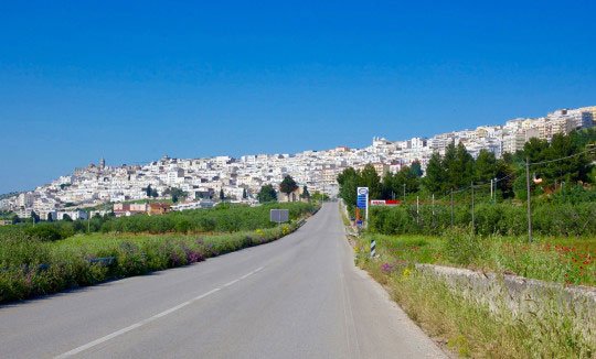 Itinerari - Minervino Murge - Strada dei Vini DOC Castel del Monte