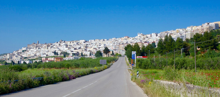 Itinerari - Minervino Murge - Strada dei Vini DOC Castel del Monte