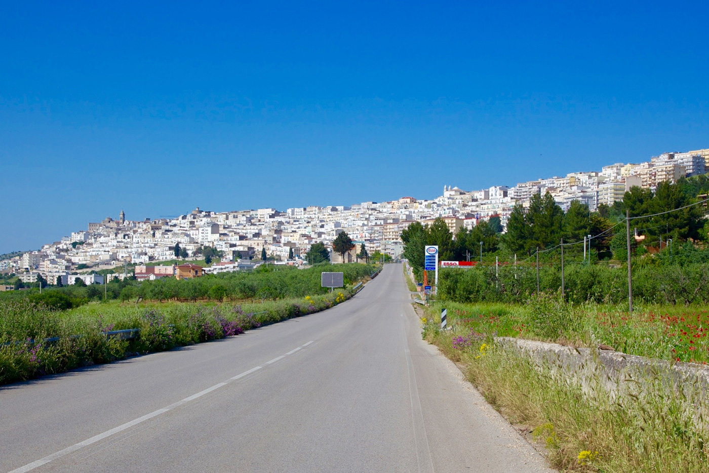 Itinerari - Minervino Murge - Strada dei Vini DOC Castel del Monte