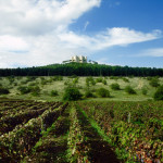 Itinerari - Castel del Monte - Strada dei Vini DOC Castel del Monte