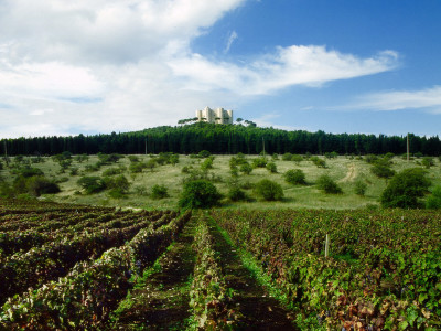 Itinerari - Castel del Monte - Strada dei Vini DOC Castel del Monte