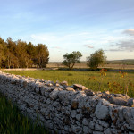 Itinerari - L'alta Murgia - Strada dei Vini DOC Castel del Monte