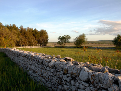 Itinerari - L'alta Murgia - Strada dei Vini DOC Castel del Monte